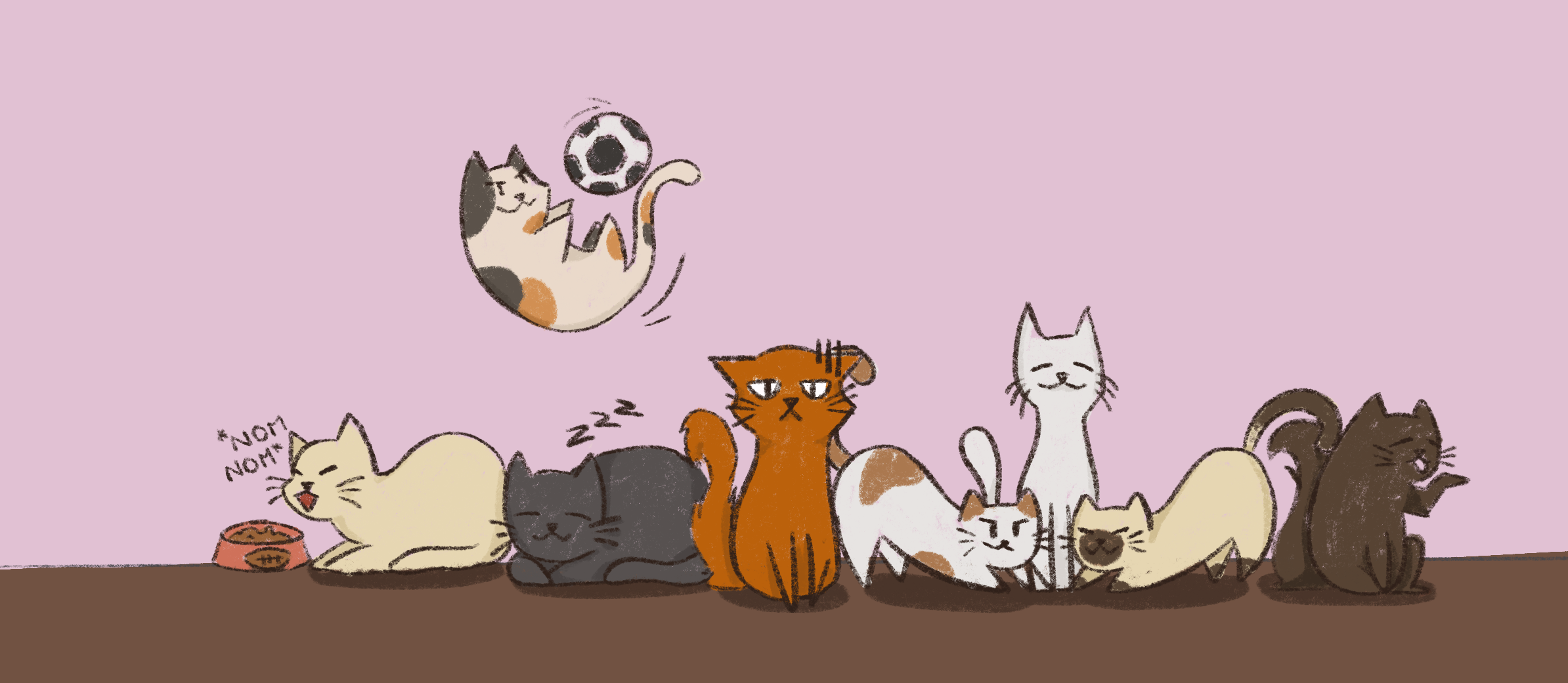 Ilustración 5